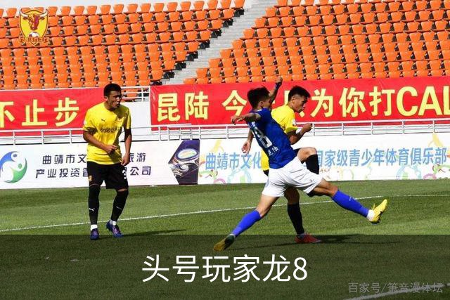 关于头号玩家龙8